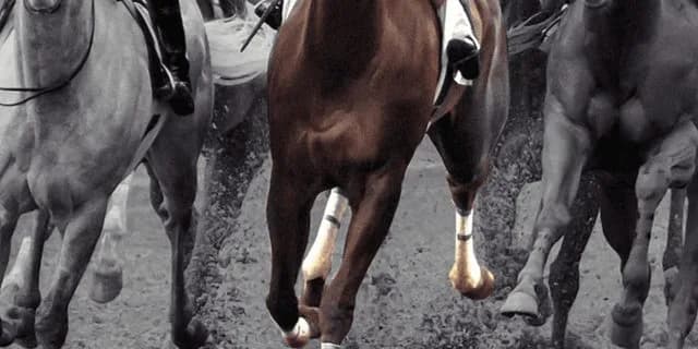 【シトリンS予想2025】地力上位のムルソー、ここは確勝級か？