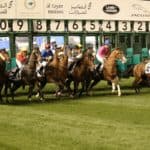 【ドバイWCデー2026】フォーエバーヤングやダノンデサイルなど、日本馬は27頭が登録