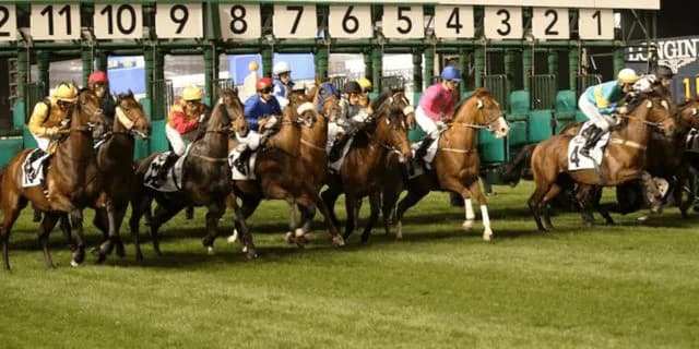 【ドバイWCデー2026】フォーエバーヤングやダノンデサイルなど、日本馬は27頭が登録