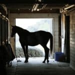 【デイリー杯2歳ステークス2025予想】切れ味自慢が集結！勝負強さ光るマイケルバローズの激走に期待