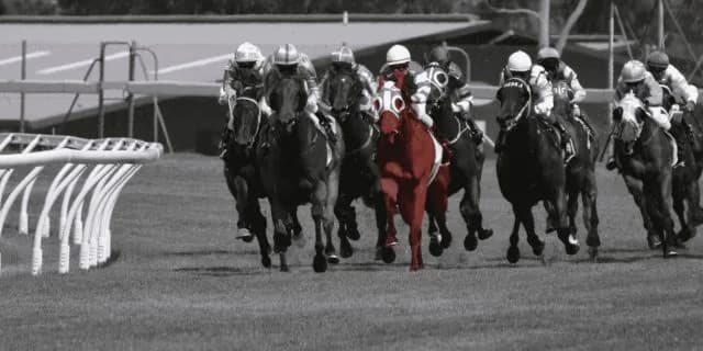 【弥生賞2020予想】皐月賞の最重要ステップ！ワーケアやサトノフラッグなど出走予定馬を考察