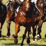 【美浦ステークス予想2026】前有利が鉄則！先行馬中心で勝負すべき