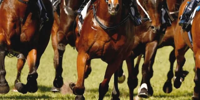 【きさらぎ賞2023予想】3歳馬の有望株が激突！フリームファクシやオープンファイアなど出走予定馬を考察