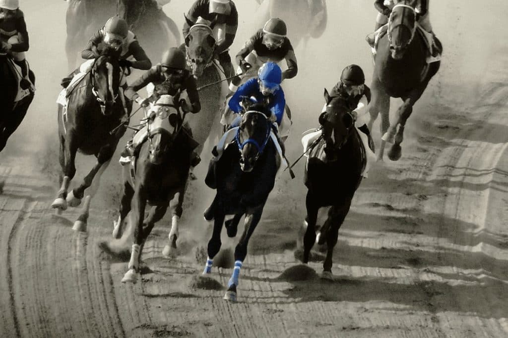 【JRA根岸ステークス2025予想】フェブラリーSへ向けた注目のダート短距離重賞！タガノビューティーやドンフランキーなど出走予定馬を考察