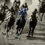 【錦秋ステークス予想2024】遠征馬は黄色信号？関東馬優勢のダートマイル戦