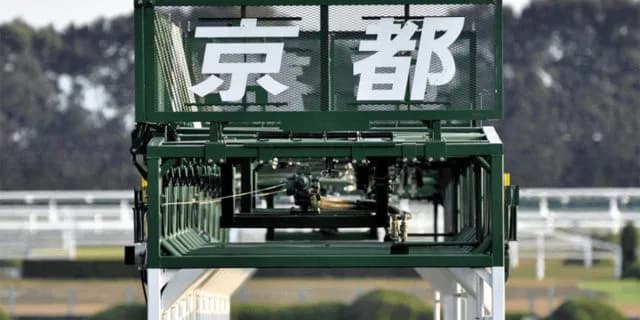 【アンドロメダS予想2025】リビアングラス、京都替わりで巻き返す