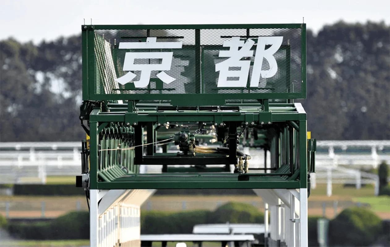 【秋華賞2023】オークス5着のシンリョクカ、秋華賞へ直行
