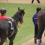 【淀短距離S予想2026】前走タンザナイトステークス組が中心も波乱も警戒か？