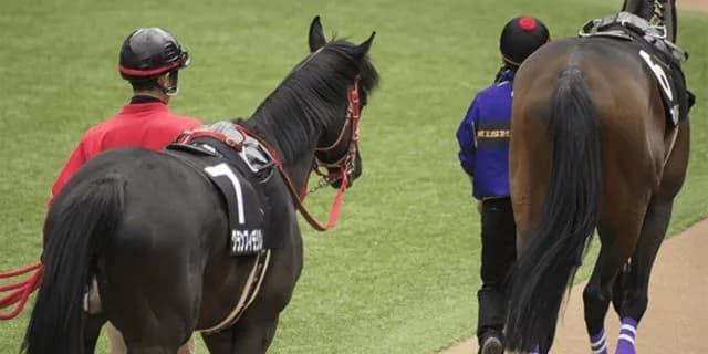 【淀短距離S予想2026】前走タンザナイトステークス組が中心も波乱も警戒か？