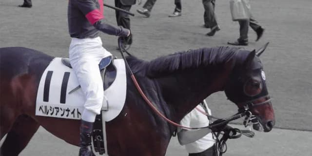 G1馬ペルシアンナイト、東京で誘導馬として堂々デビュー