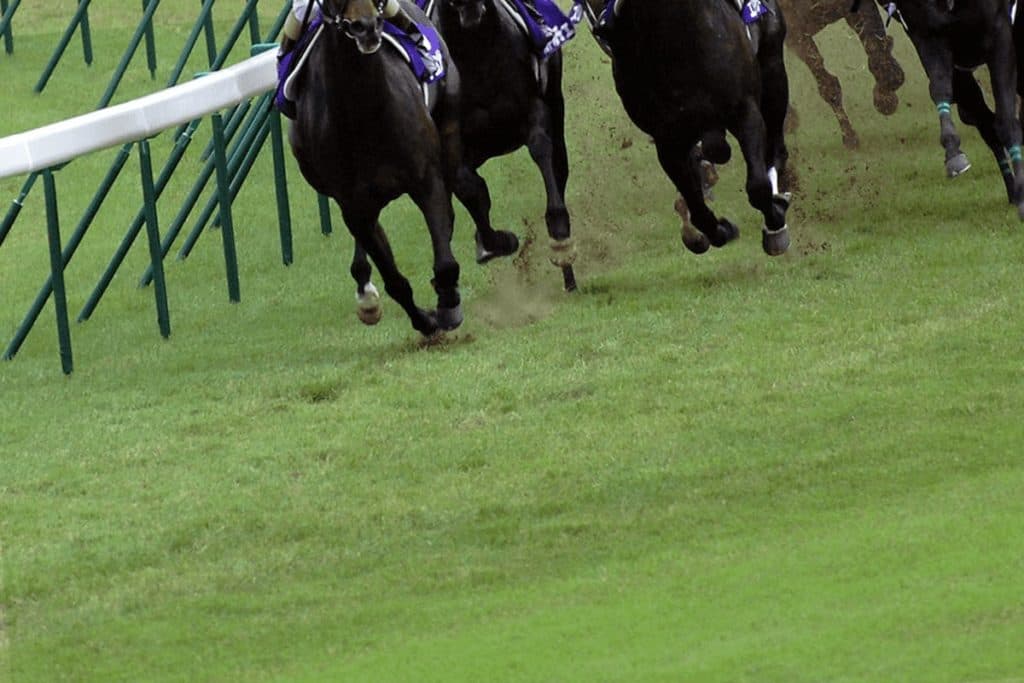 【ラジオNIKKEI賞(G3)2021】人馬共に初重賞制覇を目指す！