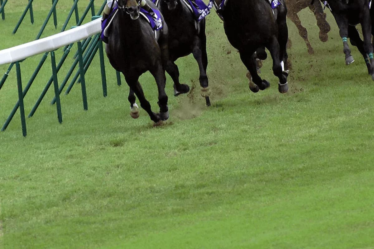 【ラジオNIKKEI賞(G3)2021】人馬共に初重賞制覇を目指す！