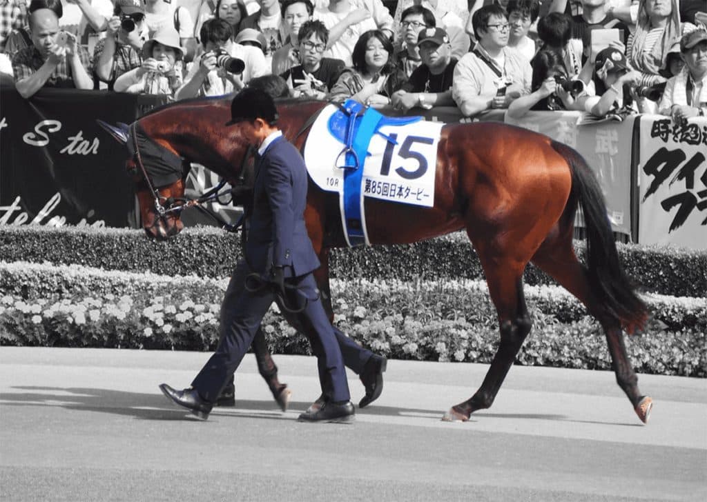 急転種牡馬入りのステルヴィオ、新ひだかアロースタッド到着