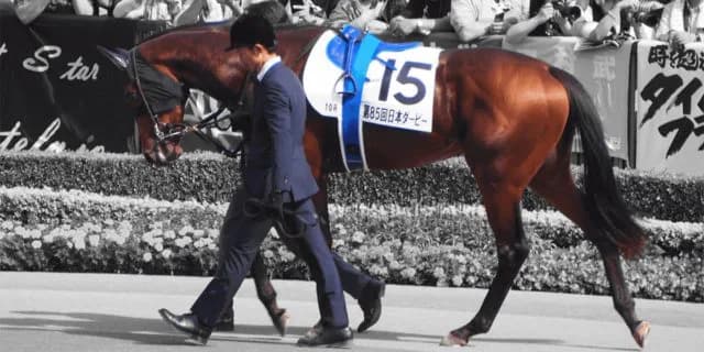 2018年のマイルCS覇者、ステルヴィオが引退