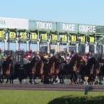 【東京スポーツ杯2歳S予想2025】クラシックへの登竜門！ダノンヒストリーやゾロアストロなど出走予定馬を考察