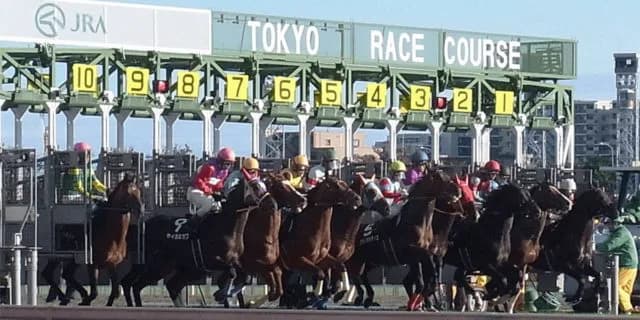 【毎日王冠2024予想】天皇賞・秋への重要ステップ！ローシャムパークやヨーホーレイクなど出走予定馬を考察