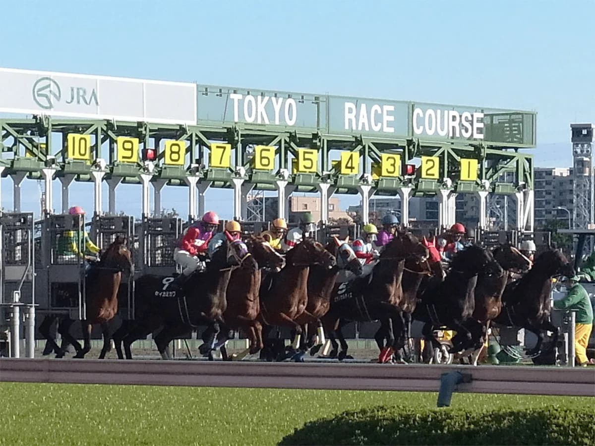 【京王杯スプリングカップ予想2026】安田記念へ向けた重要ステップ！ダノンセンチュリーやファンダムなど出走予定馬を考察