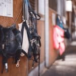 小倉牝馬S制したフェアエールングが引退、ビッグレッドグループで繁殖入りへ