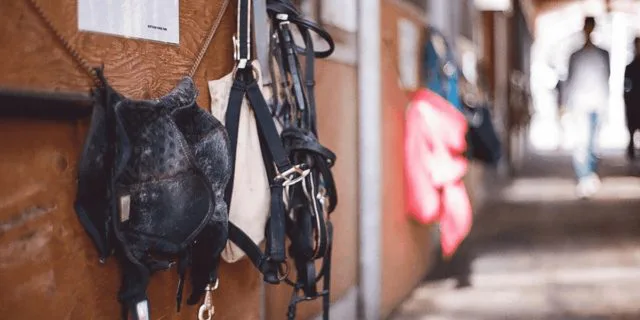 【ホープフルS2025】ラヴェニューが回避、39度の発熱