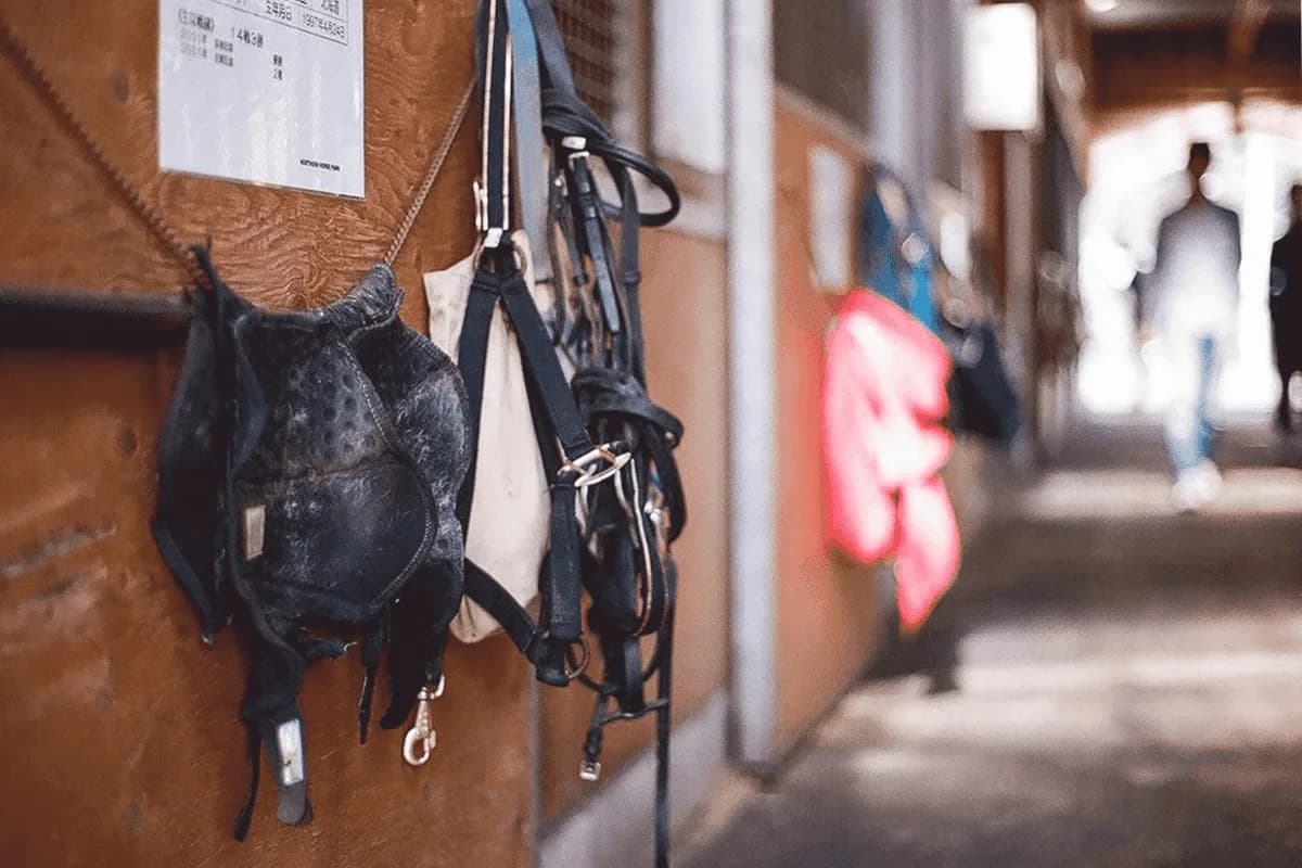 【JRA】クレーキング骨折が判明、全治3カ月以上の診断も秋には復帰見込み