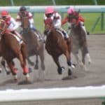 【マーチステークス予想2026】ダート中距離のハンデG3！オメガギネスやプロミストジーンなど出走予定馬を考察