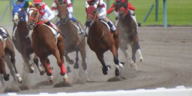 【オークランドＴＲＴ予想２０２３】自在性増したメズメライザー、叩き３戦目でクラス卒業なるか？