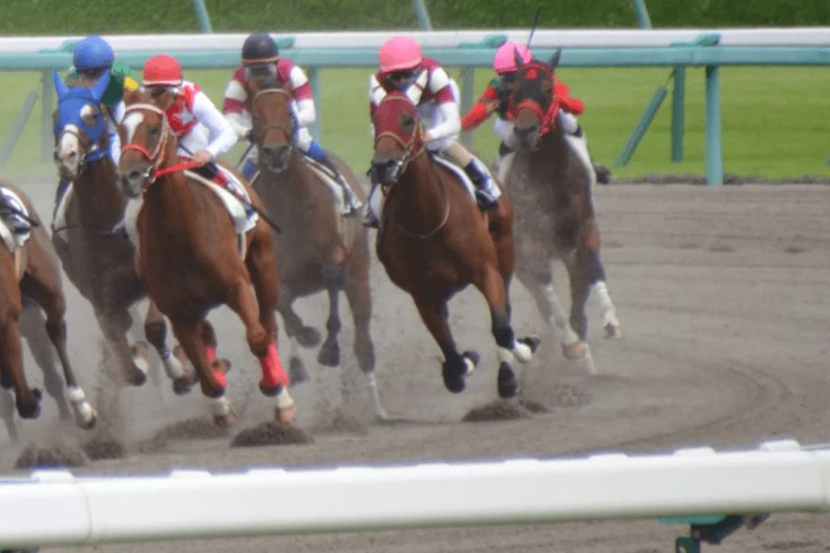 【マーチS予想2022】ダート中距離のハンデG3！オメガレインボーやアナザートゥルースなど出走予定馬を考察