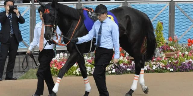 夢は次世代に、ファンディーナ初仔誕生