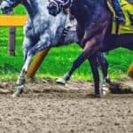 【プロキオンステークス2023予想】最終追い切り・調教内容が高評価の馬トップ3は？