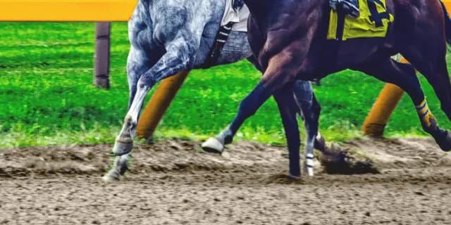 【根岸ステークス予想2023】最終追い切り・調教内容が高評価の馬トップ3は？