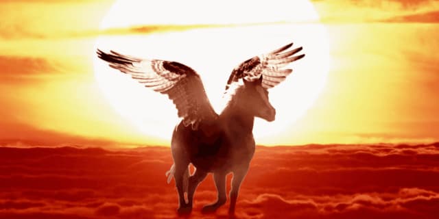 【注目新馬】未来への“望み”は“翼”よりも羽ばたくか？