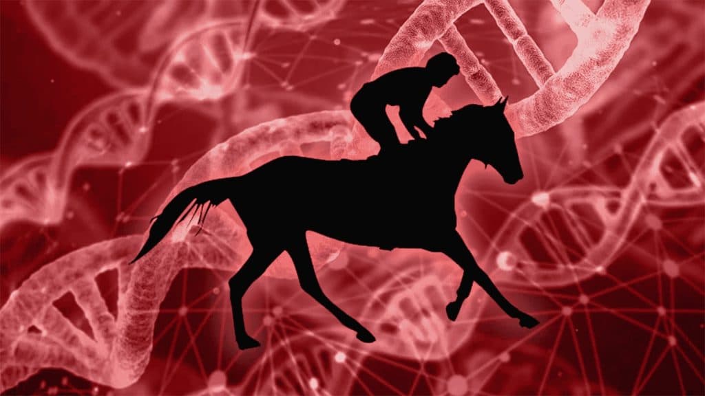 【アネモネステークス予想2024】ラヴスコール血統的魅力十分、桜花賞への切符狙う