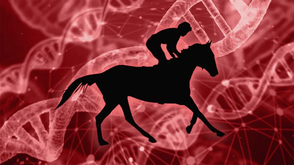 マンハッタンカフェの系譜を受け継ぐガルボ、産駒が高知ダービー制覇で注目度上昇中！