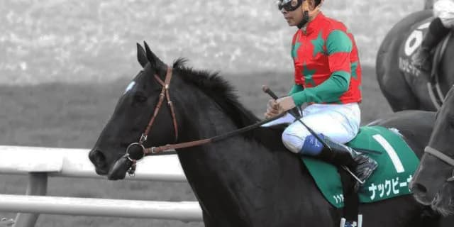 【オーシャンS予想2020】ナックビーナス、人気2頭退け逃げ切りなるか