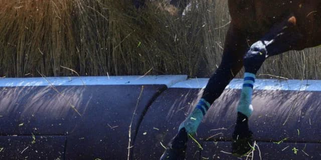 【中山グランドJ予想2020】雨でスタミナ勝負であれば、メドウラークに逆転の可能性あり！