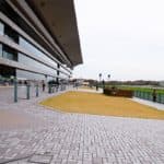 【福島記念2025予想】福島名物のハンデG3！エコロヴァルツやクリスマスパレードなど出走予定馬を考察