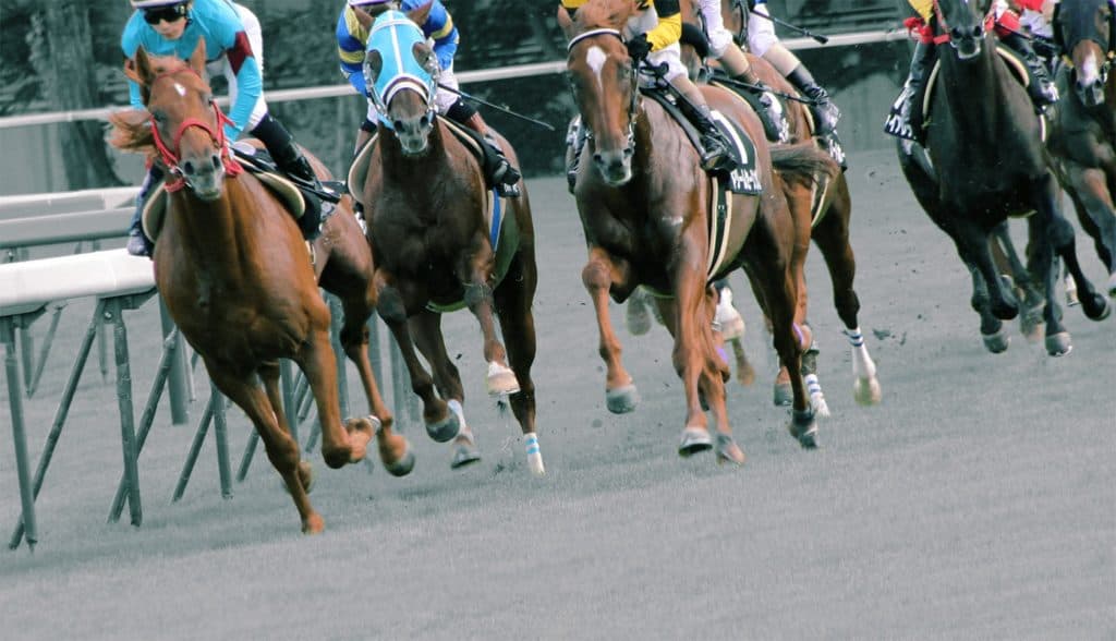 【弥生賞2025予想】カギを握るのはホープフルS上位組！弥生賞の注目馬4選