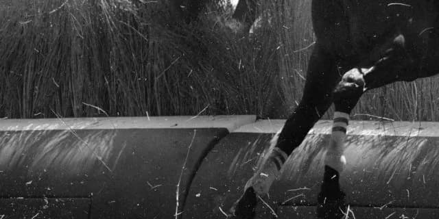 JRA賞最優秀障害馬シングンマイケル、転倒死