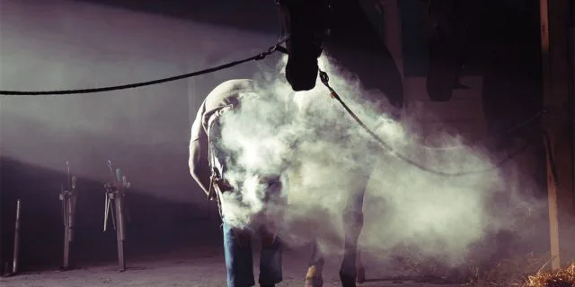 JRAフローラS（2020）波乱要素十分、激走期待の穴馬とは？