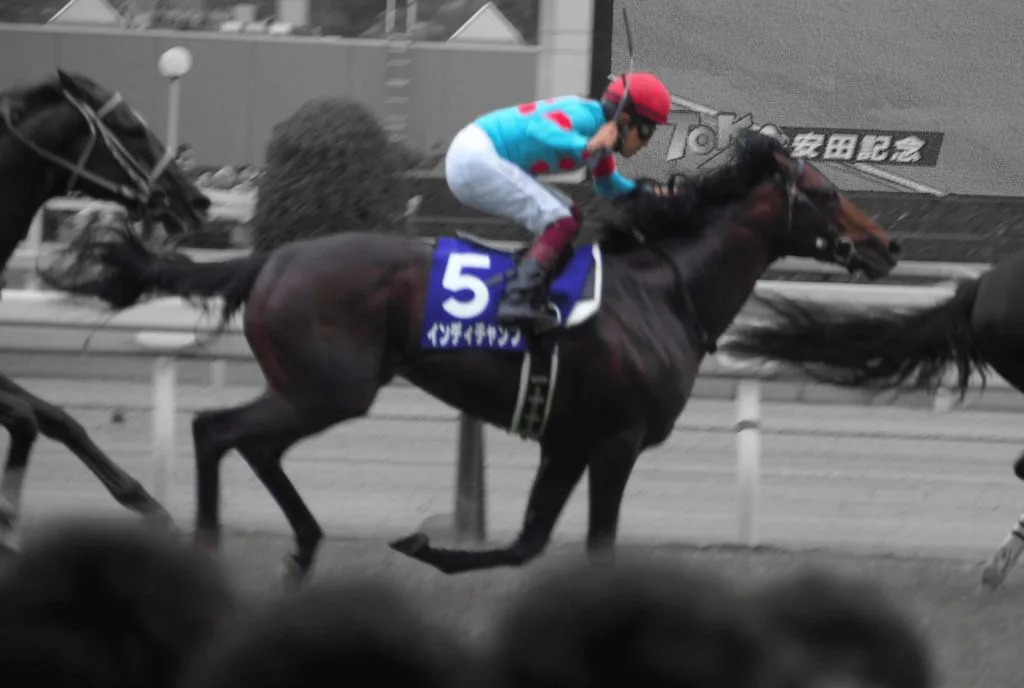 インディチャンプは安田記念へ、香港遠征を回避