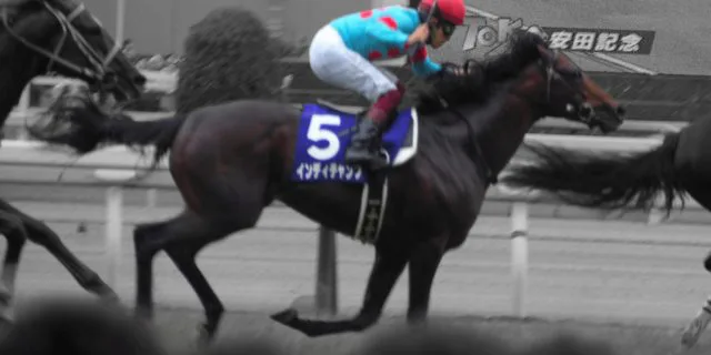 インディチャンプは安田記念へ、香港遠征を回避