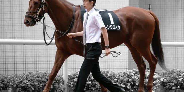 【ダービー卿チャレンジT予想2020】復調気配のムーンクエイク、軽ハンデで好機