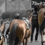 【エリザベス女王杯2025予想】注目4頭から読む勝負図