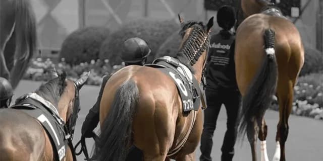 【エリザベス女王杯2025予想】注目4頭から読む勝負図