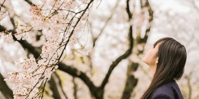 女子3人が競馬学校へ入学、「花の12期生」以来27年ぶり