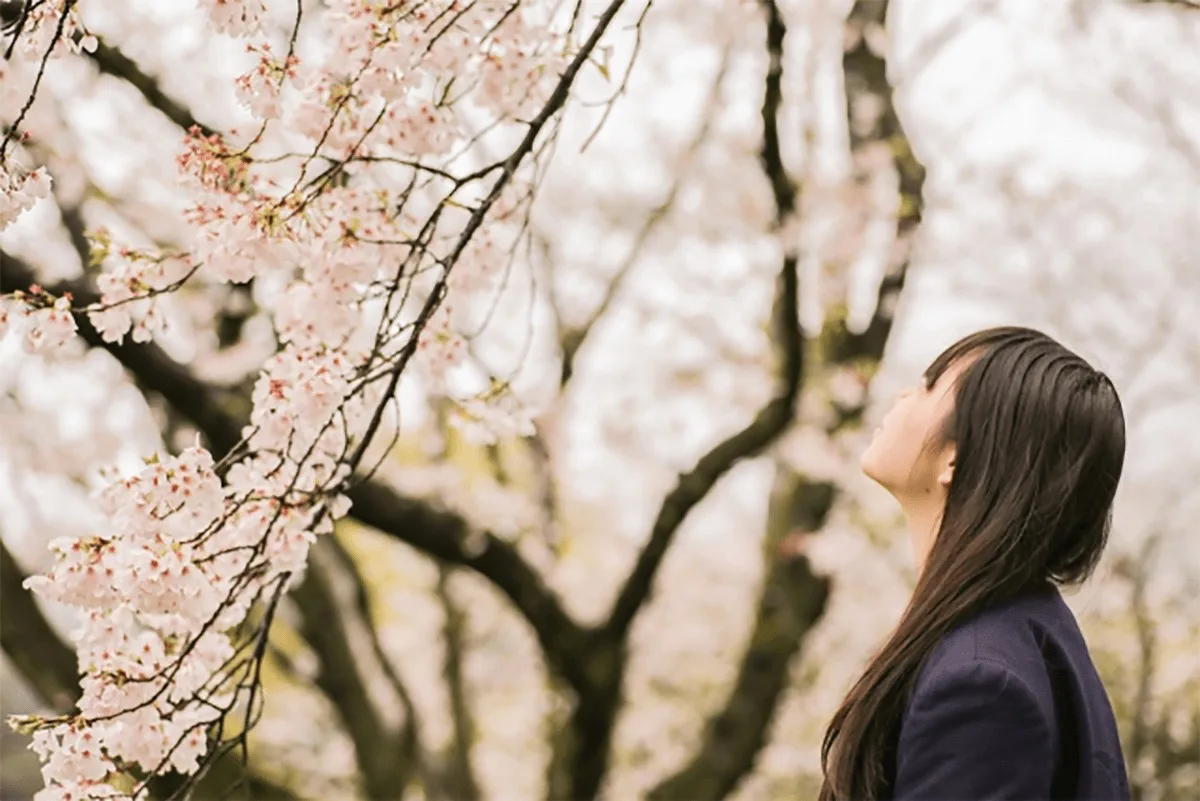 桜花賞（2021）のサインは“桜”！推奨穴馬1頭とは？