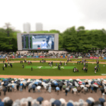 【アルゼンチン共和国杯2025予想】G1ホースへの登竜門！ホーエリートやスティンガーグラスなど出走予定馬を考察