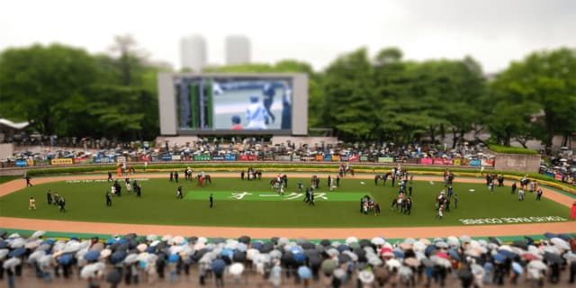 【アルゼンチン共和国杯2025予想】G1ホースへの登竜門！ホーエリートやスティンガーグラスなど出走予定馬を考察