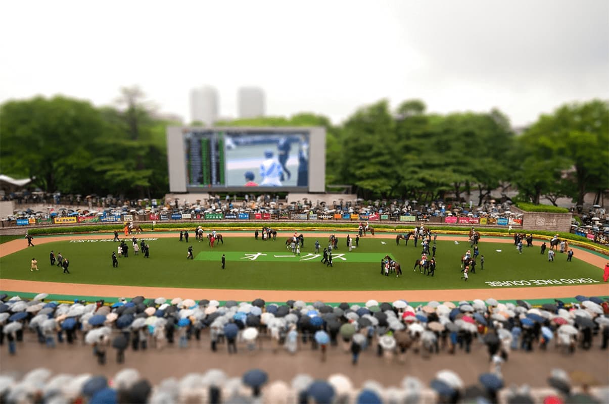 【東京新聞杯2024予想】春G1を目指すマイラーが集結！ジャスティンカフェやマスクトディーヴァなど出走予定馬を考察