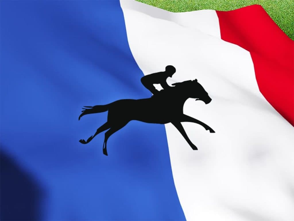 皐月賞出走のドウデュース、武豊騎手とのコンビで凱旋門賞へ